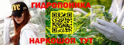 прущие грибы Апрелевка