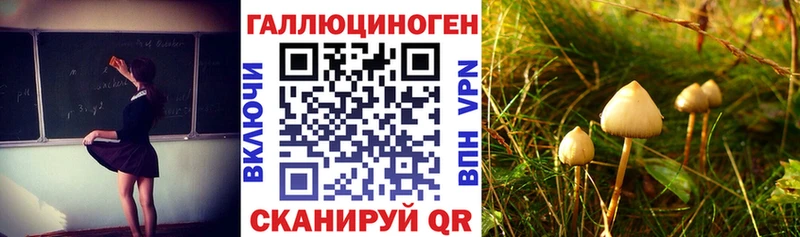 Псилоцибиновые грибы Cubensis  гидра как зайти  Белогорск 
