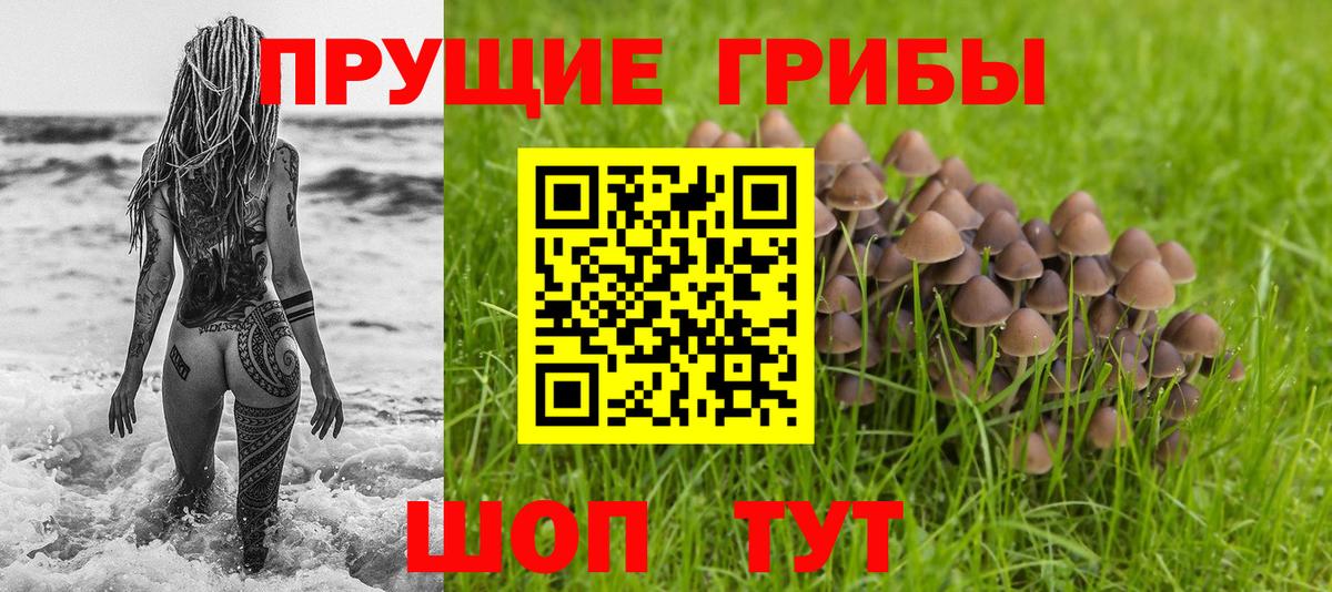 продажа наркотиков  Псилоцибиновые грибы мицелий  Вход с VPN  Белогорск 