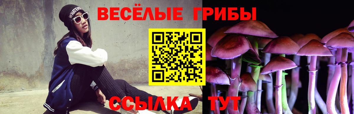 Галлюциногенные грибы Magic Shrooms Белогорск